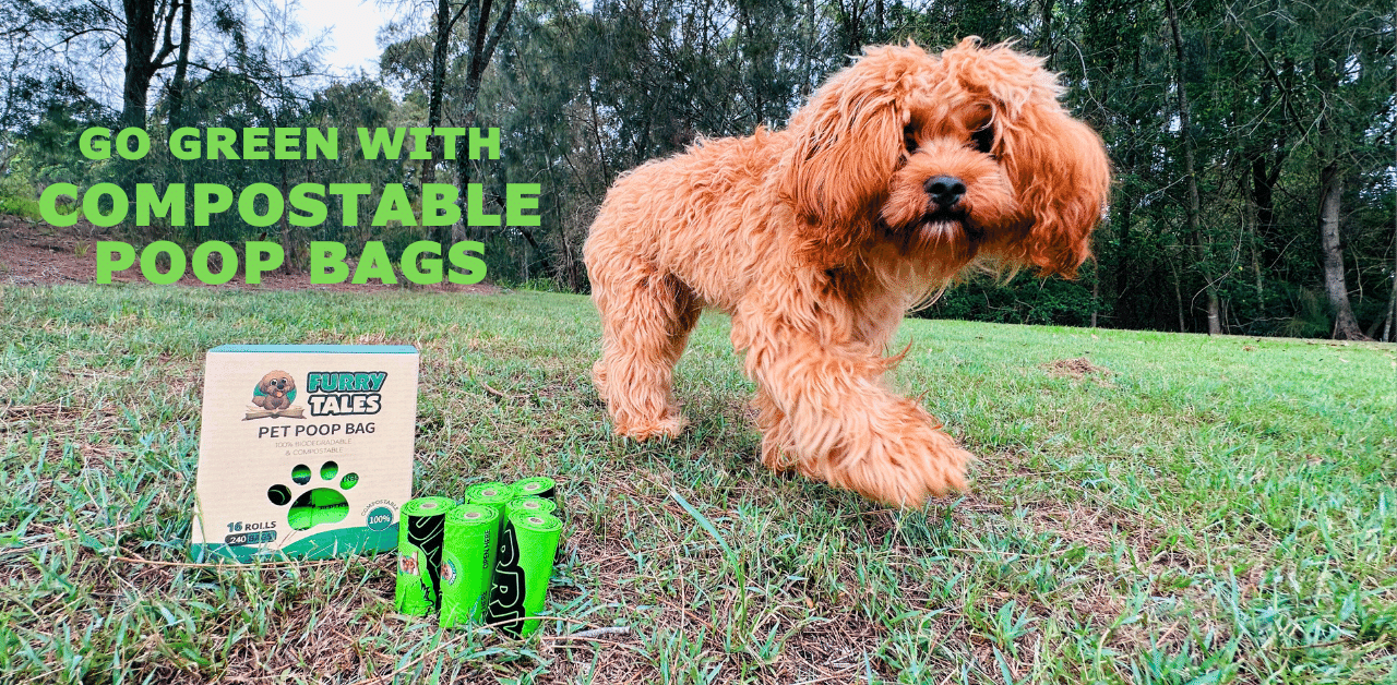 Go Green with Compostable poop bags and dog walking on the lawn