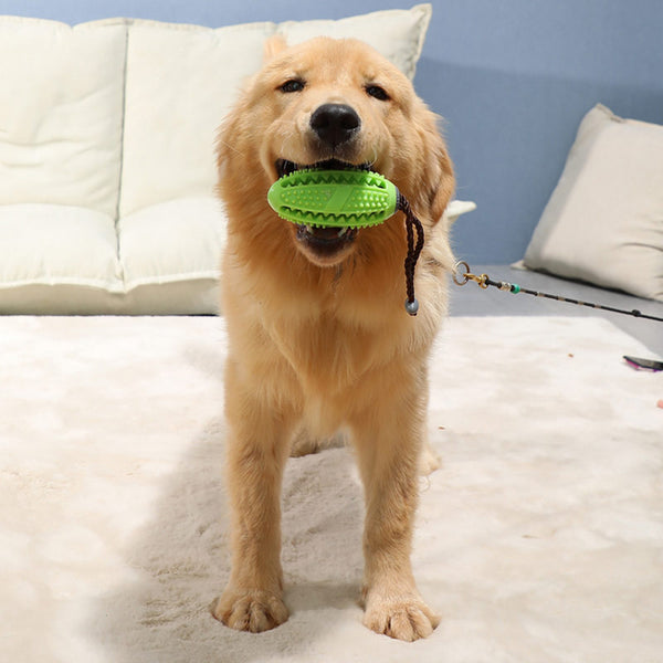 Interactive Rubber Chew Ball - food dispenser and dental care