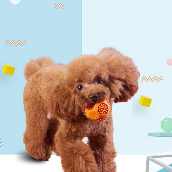 Bite-Resistant Rubber Dog Toy Ball - sound spikes ball