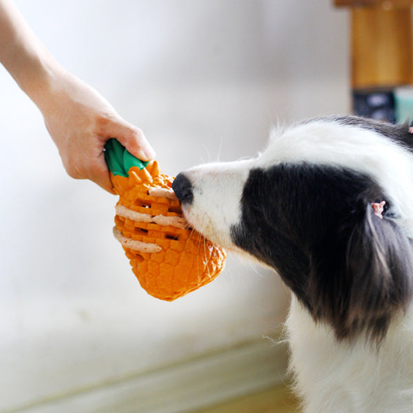 Pineapple Shape Dog Chew Toy