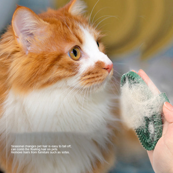 Pet Bath Brush Gloves Dog Cleaning Supplies Bath Brush Cat Bath Massage Brush Hair Removal Pet Supplies
