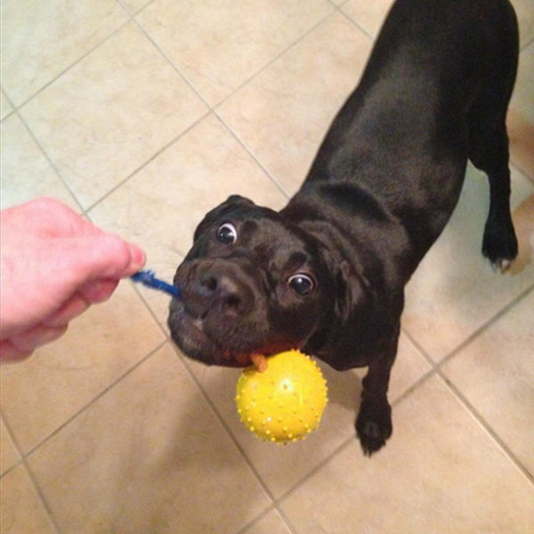 Natural Rubber Ball On Rope