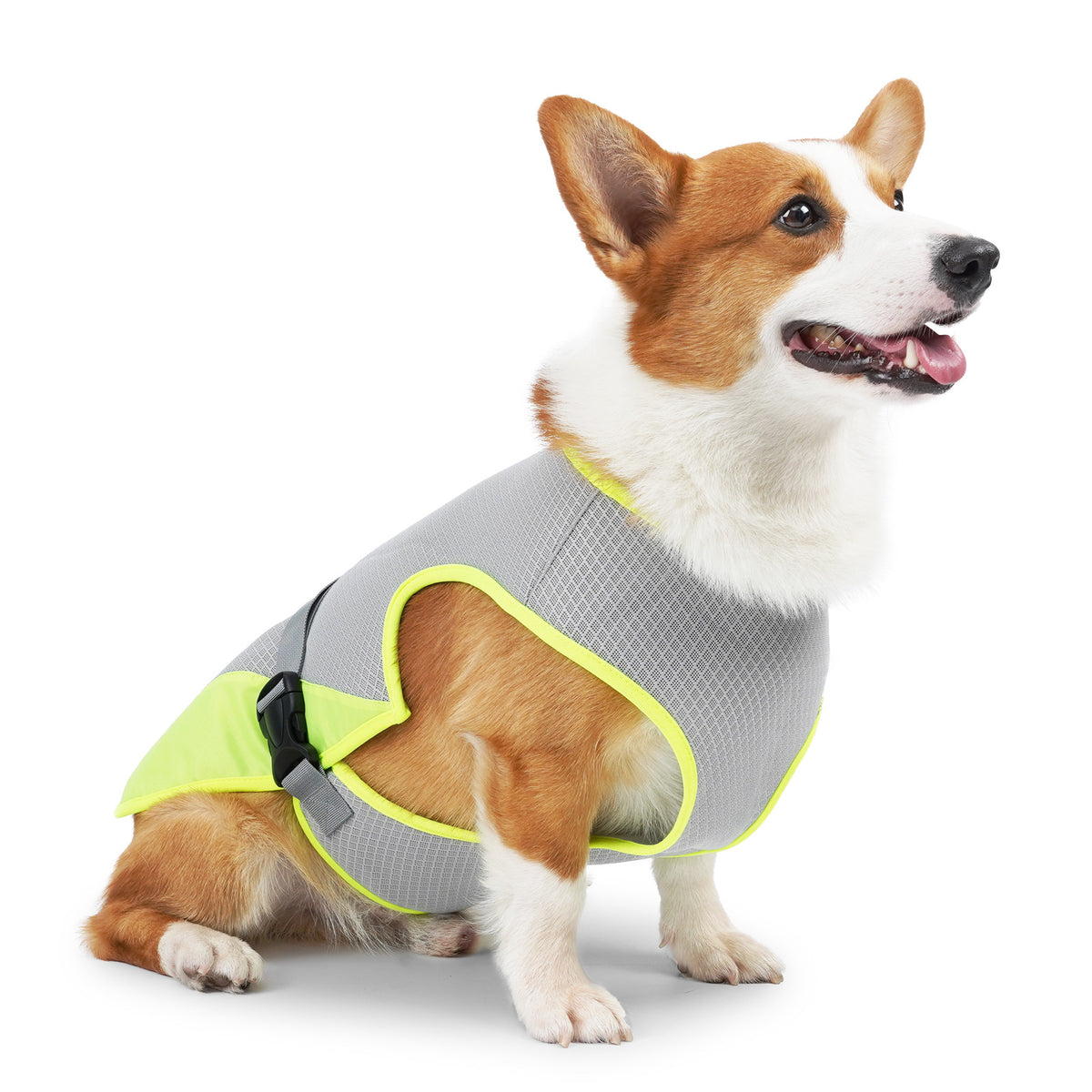 Cooling Dog Vest