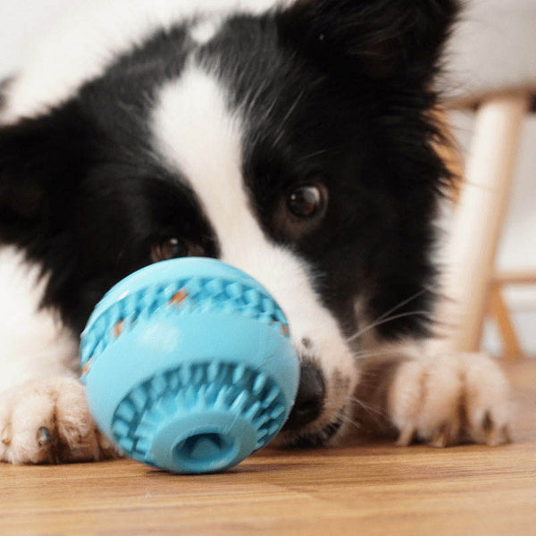 Natural Rubber Dog Toy Ball – Teeth Cleaning Puzzle, IQ Treat Dispenser