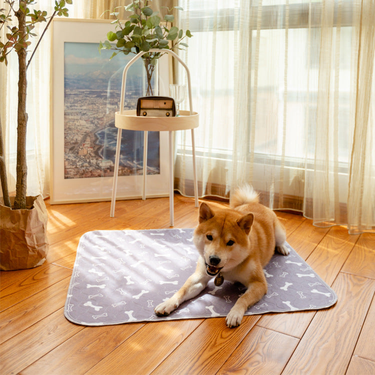 From puppy training to senior care — we’ve got you covered
