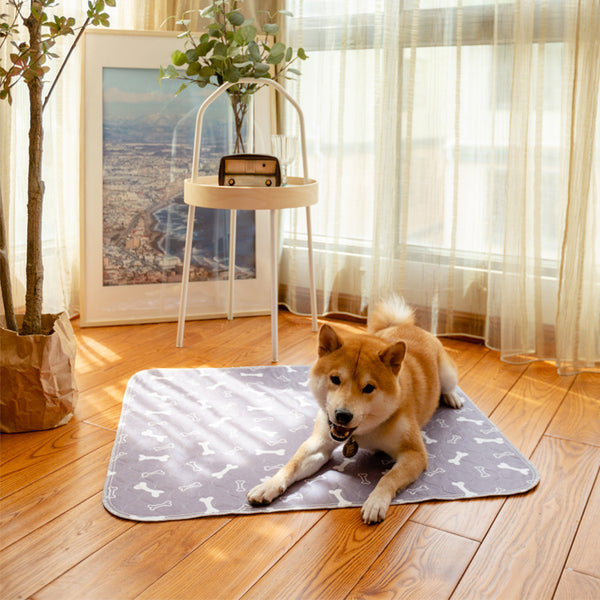 From puppy training to senior care — we’ve got you covered