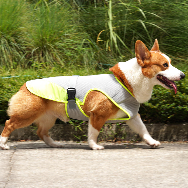 Cooling Dog Vest