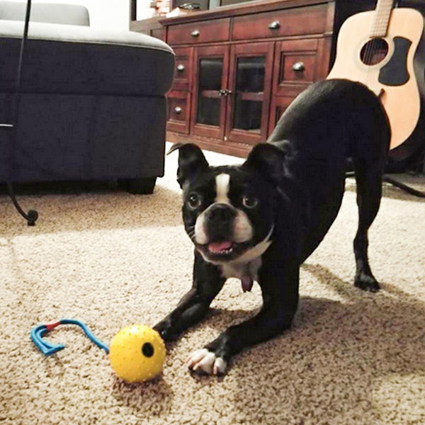 Natural Rubber Ball On Rope