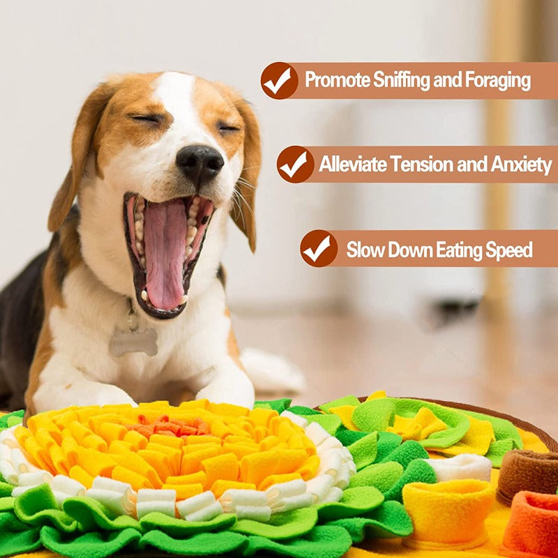 Washable Pet Sniffing Mat – Fun Food Hiding Puzzle for Dogs and Cats