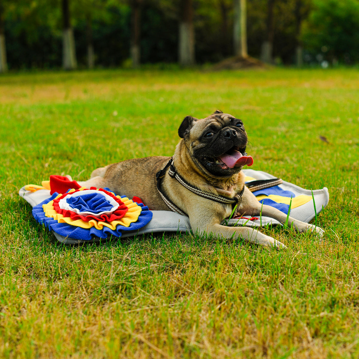 Multi-Color Patchwork Pet Sniffing Pad